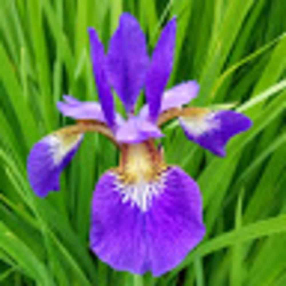 Meet your Posher, Kristin